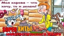 Избранные анекдоты самые крутые видео хиты - «Видео приколы»