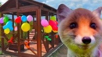 Лисенк Вук переезжает ему построен новый большой дом - «Животные приколы»