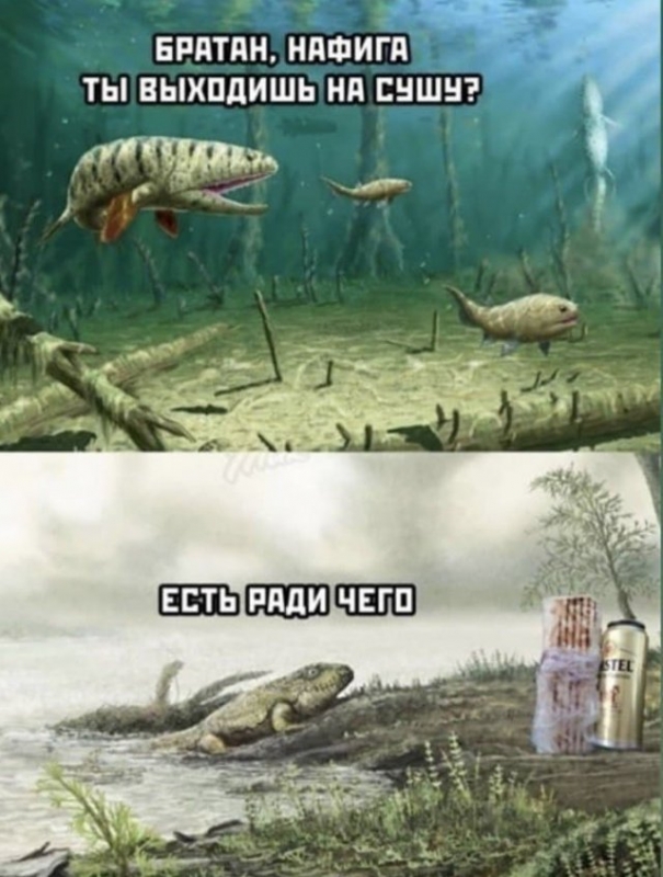 Свежая порция мемов и смешных картинок из Сет - «Фото приколы»