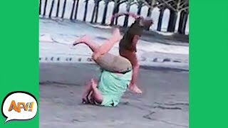 Удача сегодня от них отвернулась это факт - «Видео приколы»