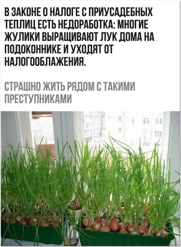 Интересные и прикольные фотографии. - «Фото приколы»