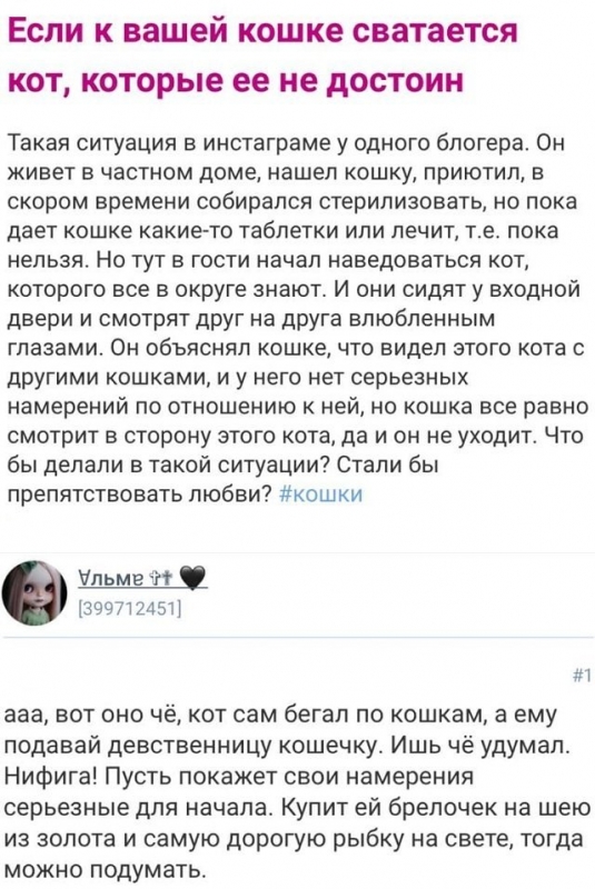 Девушки, а также некоторые мужчины, рассказывают на женских - «Фото приколы»