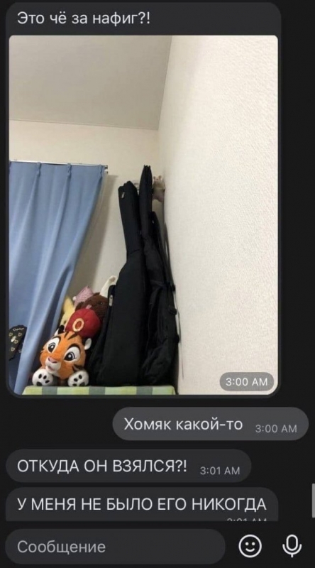 Подборка смешных диалогов между пользователями ме - «Фото приколы»