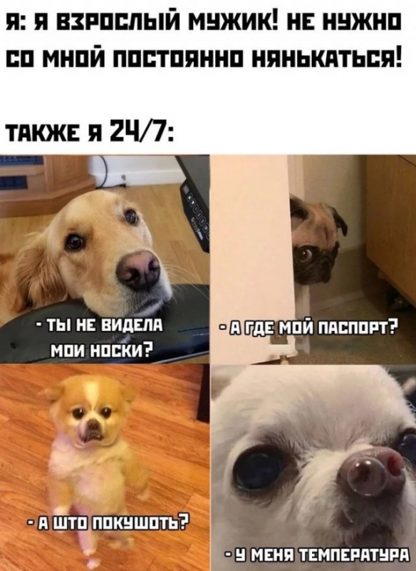 Пользователи соцсетей, которым уже за 30, реш - «Фото приколы»
