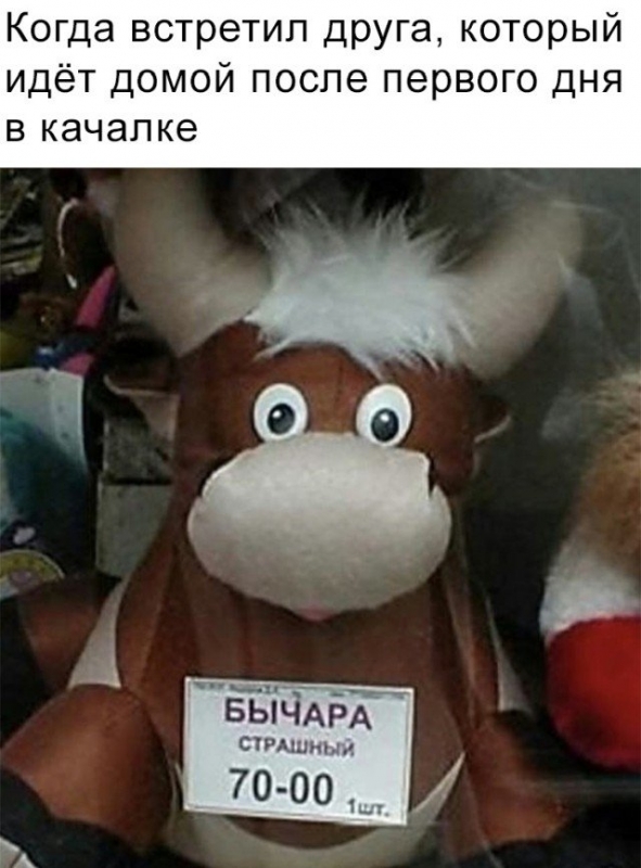 Подборка прикольных картинок и фотографий на 1 - «Фото приколы»