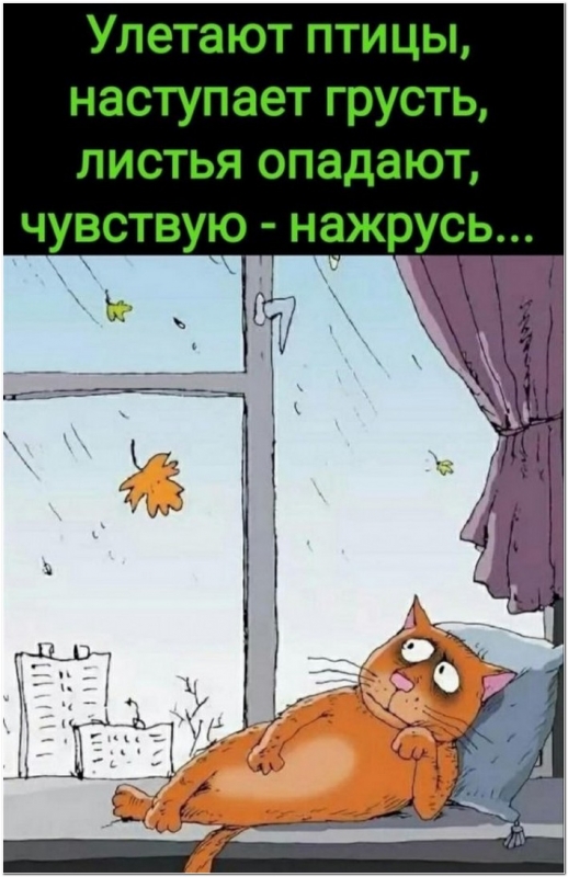 Прикольные картинки для вашего внимания и хорошего н - «Фото приколы»