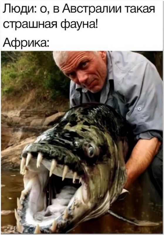 Шутки юмора в свежей подборке прикольных фотографи - «Фото приколы»