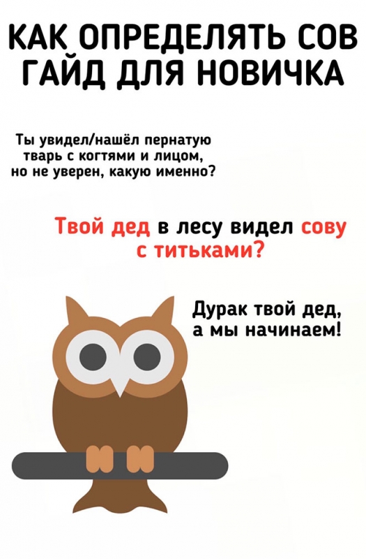 Автор данного креатива решил на простом языке рассказа - «Фото приколы»