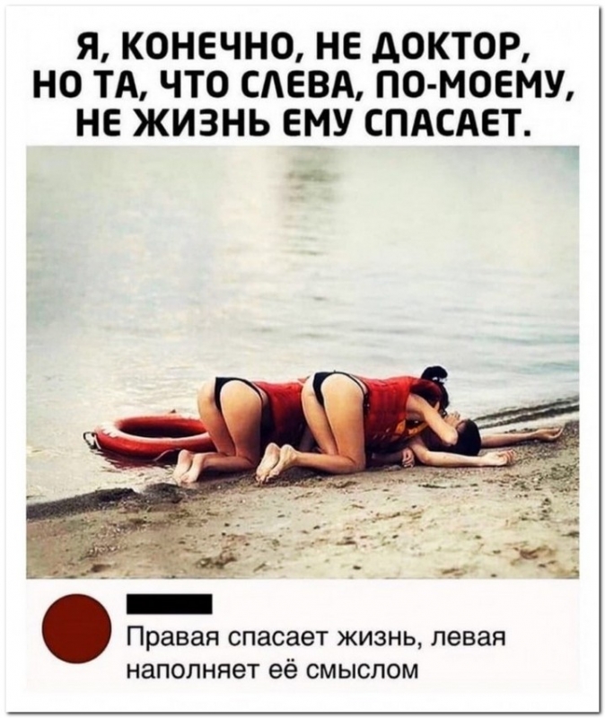 Смешные фотографии с комментариями и без для отличного настр - «Фото приколы»