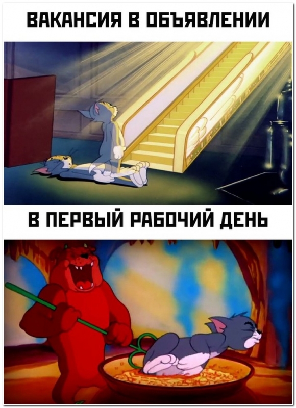 Прикольные картинки для хорошего настроения. Смотрим, чит - «Фото приколы»