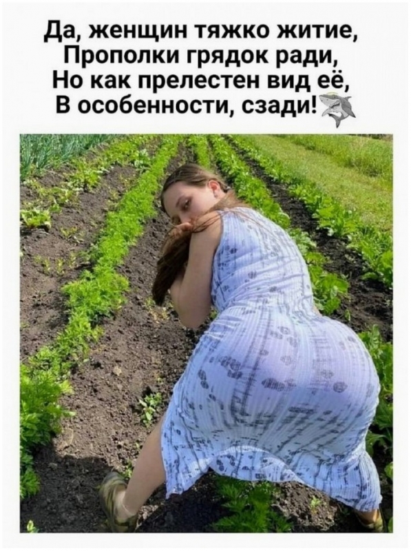 Прикольные фотографии с комментариями и без для отличного настроен - «Фото приколы»