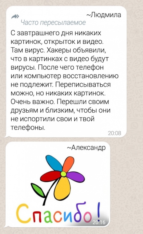 Все, кто когда-нибудь состоял в родительских чатах, - «Фото приколы»