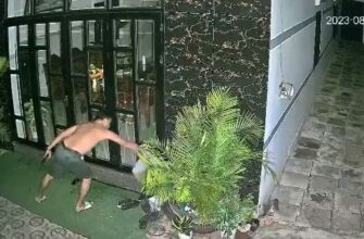 Поджигатель случайно поджог сам себя - «Видео приколы»