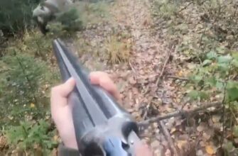 Неожиданная встреча в лесу с медведем - «Животные приколы»
