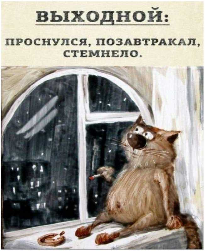 Прикольные картинки ждут вас в этой подборке. - «Фото приколы»