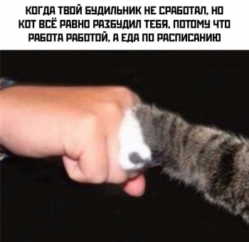 Подборка прикольных картинок и фотографий на - «Фото приколы»