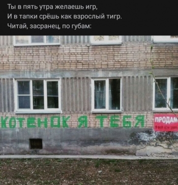 Пользователи социальных сетей создают забавные коротень - «Фото приколы»
