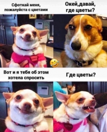 Порция шуток и смешных картинок от пользователей социальных - «Фото приколы»