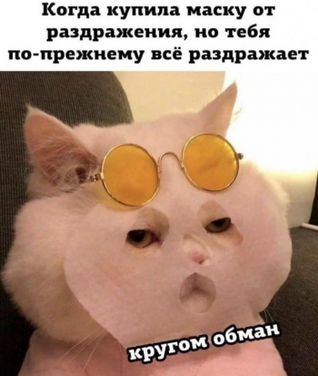 Свежая подборка шуток и забавных картинок из - «Фото приколы»