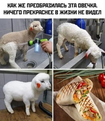 Свежая порция довольно странных шуток и жестких приколов - «Фото приколы»