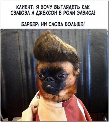 Веселые фотографии, которые можно смотреть, скачивать и де - «Фото приколы»
