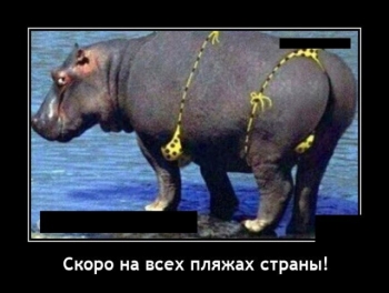 Подборка смешных демотиваторов от пользователей Сети на р - «Фото приколы»