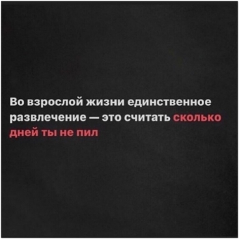 Шутки и юмор в прикольных картинках на алкогольную т - «Фото приколы»