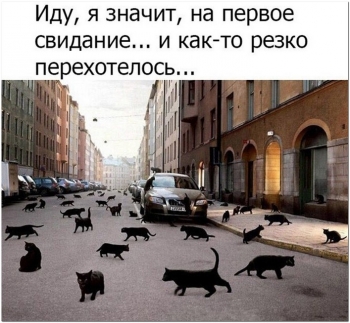 Смешные и прикольные фотографии для хорошего настр - «Фото приколы»