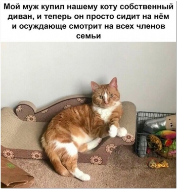 Свежие забавные, смешные и интересные фотографии смотрите в подбор - «Фото приколы»