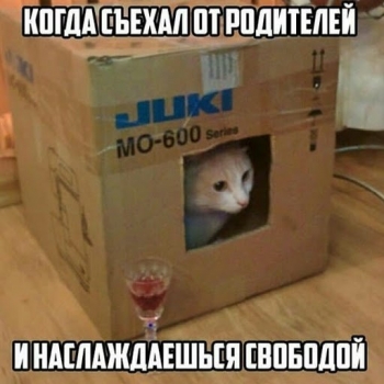 В наше время практически каждый человек когда-нибудь съезжает от р - «Фото приколы»