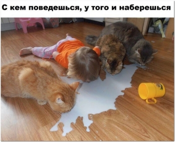 Фотографии смешные, забавные и просто интересные. - «Фото приколы»