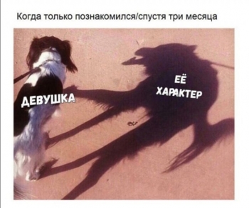 Пользователи соцсетей продолжают публиковать свежие - «Фото приколы»