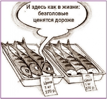 Веселые картинки для хорошего настроения на кайфол - «Фото приколы»