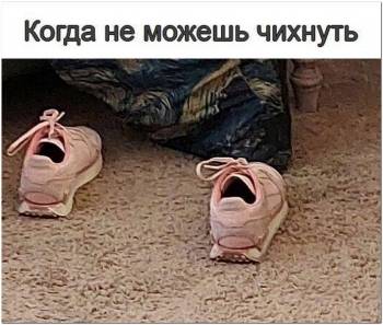 Очередная порция шуток и юмора в фотографиях. Смотрим и ул - «Фото приколы»