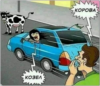 Смешные и забавные картинки для поднятия настроения на - «Фото приколы»