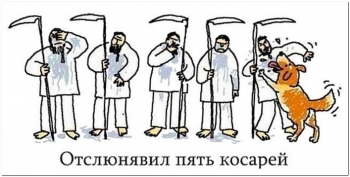 Смешные и забавные картинки для поднятия настроения на - «Фото приколы»