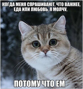 Веселые картинки с текстом для приятного просмотра и - «Фото приколы»