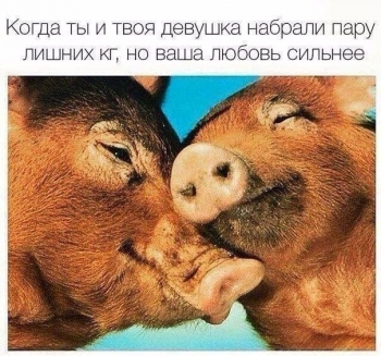 Пользователи соцсетей публикуют забавные шутки, мемы и п - «Фото приколы»
