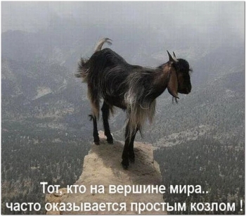 Самые смешные и забавные фотографии в подборках на к - «Фото приколы»
