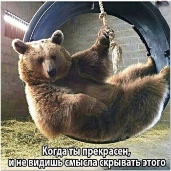 Увлекательные и смешные фотографии для вашего вним - «Фото приколы»