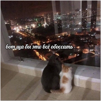 Забавные и прикольные фотографии для хорошего наст - «Фото приколы»