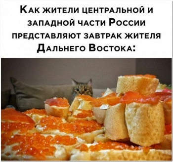 Интересные и прикольные фото. - «Фото приколы»