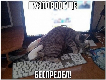 Смешные фотографии с описанием и без для хорошего - «Фото приколы»