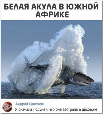 Свежие фотоприколы для отличного настроения. - «Фото приколы»