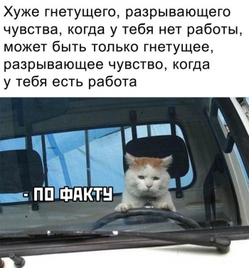 Подборка прикольных картинок и фотографий на 1 - «Фото приколы»