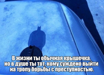 Подборка прикольных, забавных и интересных картинок на - «Фото приколы»