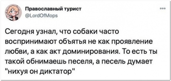 Шутки и юмор в прикольных картинках на кайфолог.не - «Фото приколы»