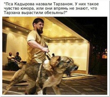 Смешные, забавные и интересные фото в свежей подбо - «Фото приколы»