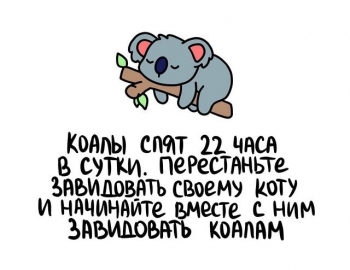Свежая подборка познавательной информации на - «Фото приколы»