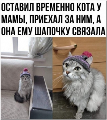 Свежая порция прикольных фоток с описанием и без. - «Фото приколы»